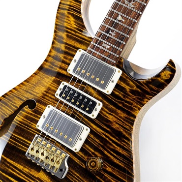P.R.S. 40th Anniversary Special Semi-Hollow Limited Edition (Yellow Tiger) SN.0412703 画像3