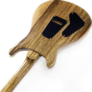 P.R.S. 40th Anniversary Special Semi-Hollow Limited Edition (Faded Whale Blue / Natural Back ) SN.0412695 画像6