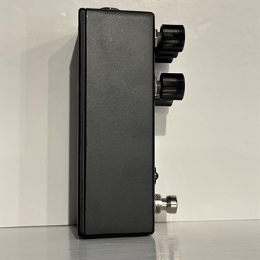 WALRUS AUDIO 【メーカーアウトレット品】POLYCHROME　フランジャー 画像2