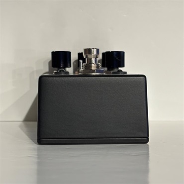 WALRUS AUDIO 【メーカーアウトレット品】POLYCHROME　フランジャー 画像3