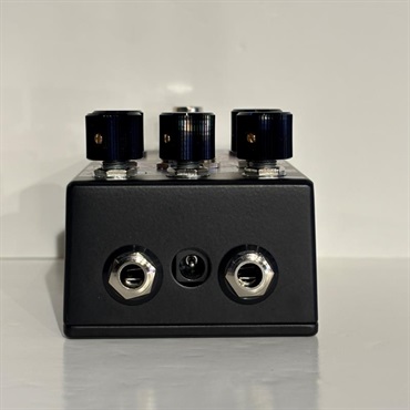 WALRUS AUDIO 【メーカーアウトレット品】POLYCHROME　フランジャー 画像4