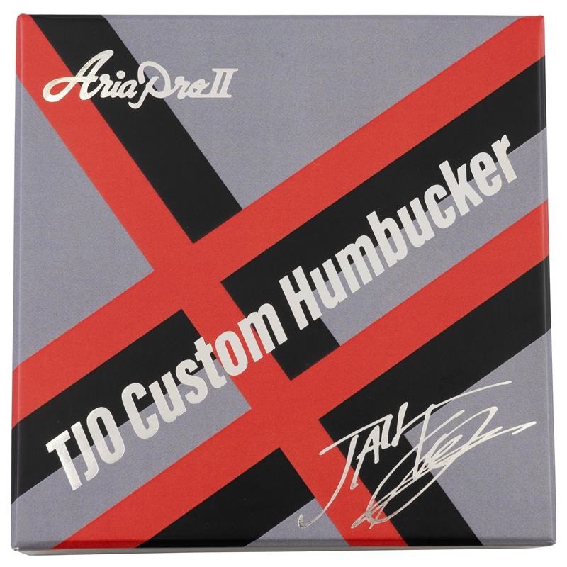 Aria ProII AHB-TJO SET BK (Two Humbucker， Black) 画像3