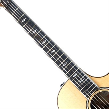 TAYLOR 【新楽器応援セール】【チョイ傷特価】 812ce テイラー 画像6