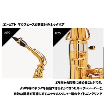 Selmer Paris 【江川良子氏選定品】アルトサックス セルマー Signature シグネチャー DARK SL(ダークシグネチャーラッカー)【選定料サービス!!】 【調整&セットアップ後出荷】【5年間キーバランス調整無料】 画像2