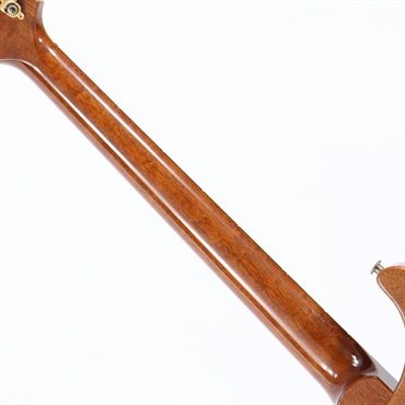 P.R.S. Ikebe Original Wood Library Custom24 McCarty Thickness Espresso [SN.0340062] 【2022年生産モデル】 画像8