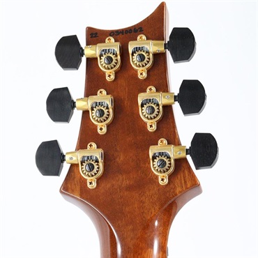 P.R.S. Ikebe Original Wood Library Custom24 McCarty Thickness Espresso [SN.0340062] 【2022年生産モデル】 画像10