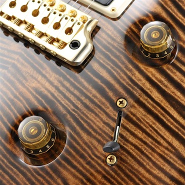 P.R.S. Ikebe Original Wood Library Custom24 McCarty Thickness Espresso [SN.0340179] 【2022年生産モデル】 画像5
