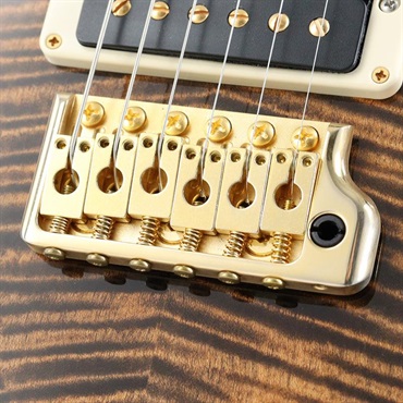 P.R.S. Ikebe Original Wood Library Custom24 McCarty Thickness Espresso [SN.0340179] 【2022年生産モデル】 画像6