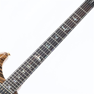 P.R.S. Ikebe Original Wood Library Custom24 McCarty Thickness Espresso [SN.0340179] 【2022年生産モデル】 画像7