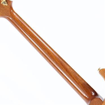 P.R.S. Ikebe Original Wood Library Custom24 McCarty Thickness Espresso [SN.0340179] 【2022年生産モデル】 画像8