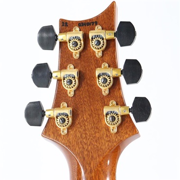 P.R.S. Ikebe Original Wood Library Custom24 McCarty Thickness Espresso [SN.0340179] 【2022年生産モデル】 画像10