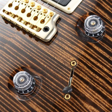 P.R.S. Ikebe Original Wood Library Custom24 McCarty Thickness Espresso [SN.0340514] 【2022年生産モデル】 画像5