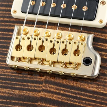 P.R.S. Ikebe Original Wood Library Custom24 McCarty Thickness Espresso [SN.0340514] 【2022年生産モデル】 画像6