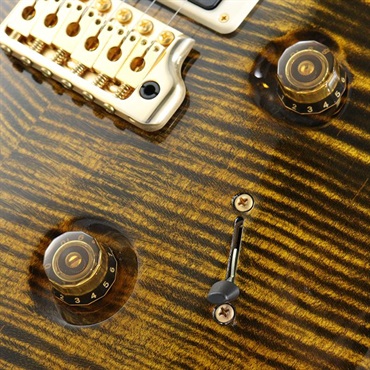 P.R.S. Ikebe Original Wood Library Custom24 McCarty Thickness Tiger Eye [SN.0340104] 【2022年生産モデル】 画像5