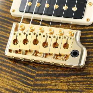P.R.S. Ikebe Original Wood Library Custom24 McCarty Thickness Tiger Eye [SN.0340104] 【2022年生産モデル】 画像6