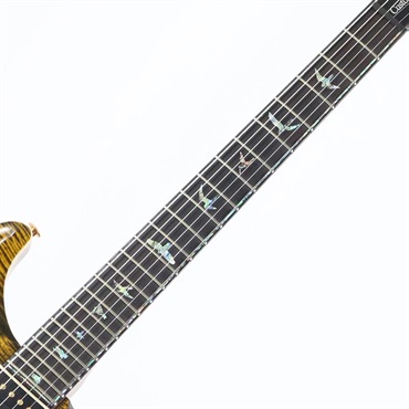 P.R.S. Ikebe Original Wood Library Custom24 McCarty Thickness Tiger Eye [SN.0340104] 【2022年生産モデル】 画像7