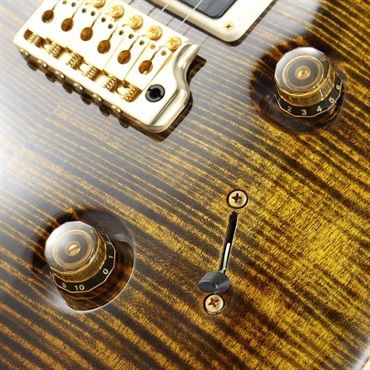 P.R.S. Ikebe Original Wood Library Custom24 McCarty Thickness Tiger Eye [SN.0340443] 【2022年生産モデル】 画像5