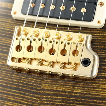 P.R.S. Ikebe Original Wood Library Custom24 McCarty Thickness Tiger Eye [SN.0340443] 【2022年生産モデル】 画像6
