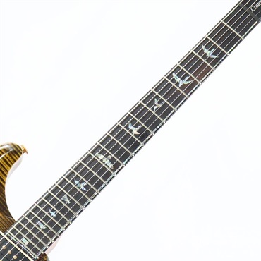 P.R.S. Ikebe Original Wood Library Custom24 McCarty Thickness Tiger Eye [SN.0340443] 【2022年生産モデル】 画像7