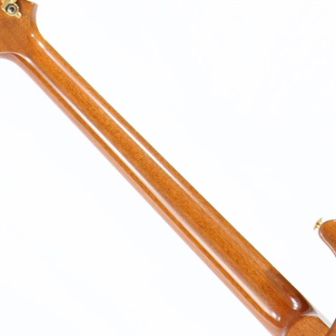 P.R.S. Ikebe Original Wood Library Custom24 McCarty Thickness Tiger Eye [SN.0340443] 【2022年生産モデル】 画像8