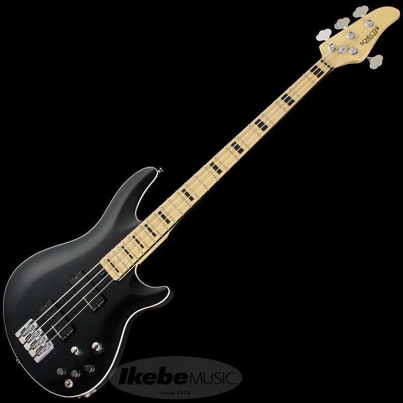 SCHECTER Progauge Artist Model Series PA-TM ｜イケベ楽器店