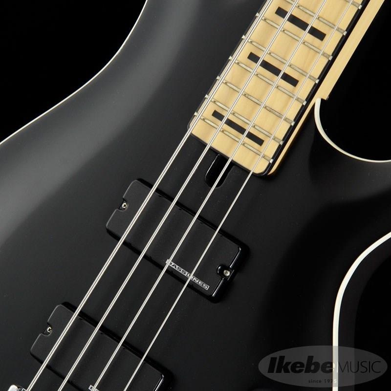 SCHECTER Progauge Artist Model Series PA-TM ｜イケベ楽器店