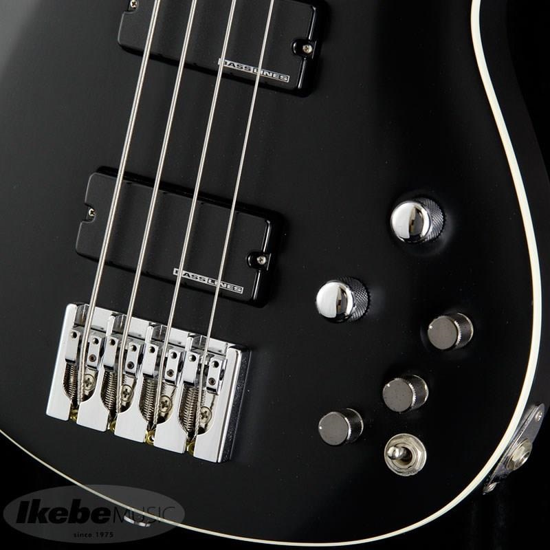 SCHECTER Progauge Artist Model Series PA-TM ｜イケベ楽器店
