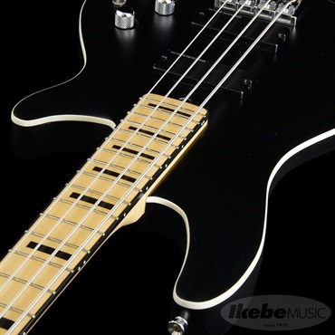 SCHECTER Progauge Artist Model Series PA-TM ｜イケベ楽器店