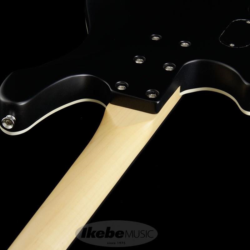 SCHECTER Progauge Artist Model Series PA-TM ｜イケベ楽器店