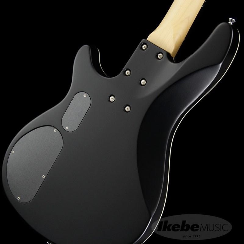 SCHECTER Progauge Artist Model Series PA-TM ｜イケベ楽器店