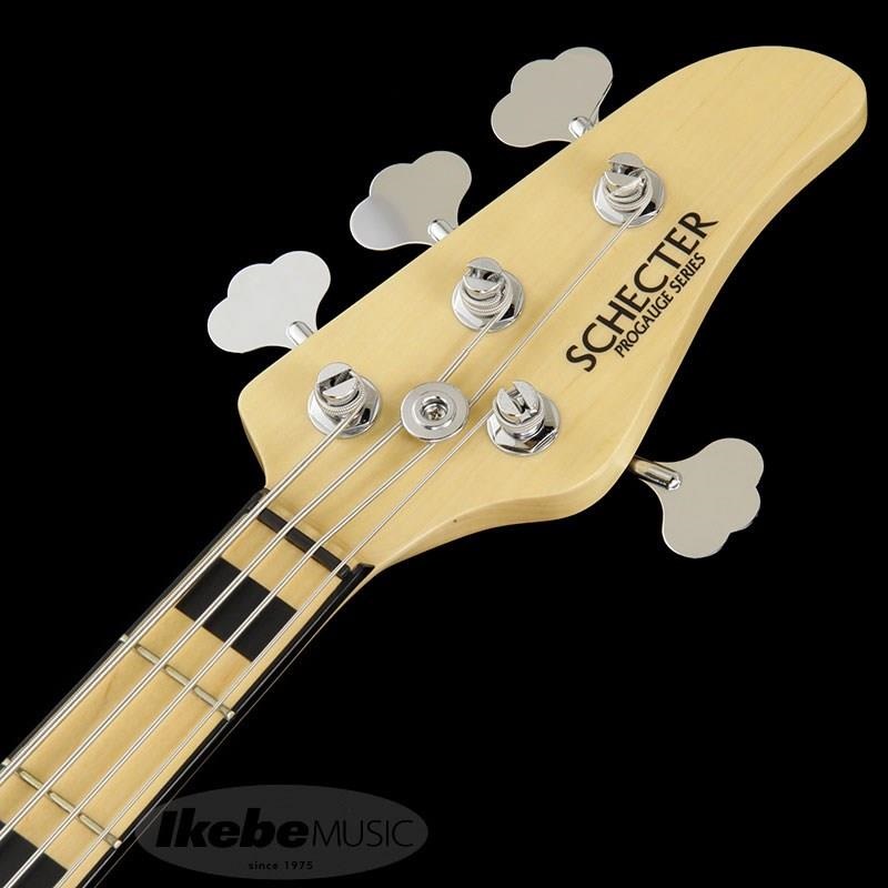 SCHECTER Progauge Artist Model Series PA-TM ｜イケベ楽器店