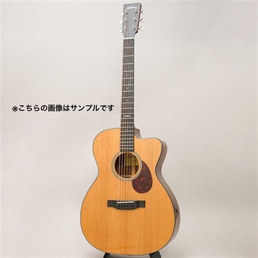 EASTMAN 【現地選定品】E1-OMCE-Special #M2317225 画像2