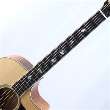 EASTMAN 【現地選定品】AC622CE #M2532006 画像6