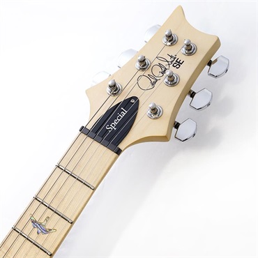 P.R.S. USED 中古 SE Swamp Ash Special (Iri Blue) SN.CTIG085957 画像6