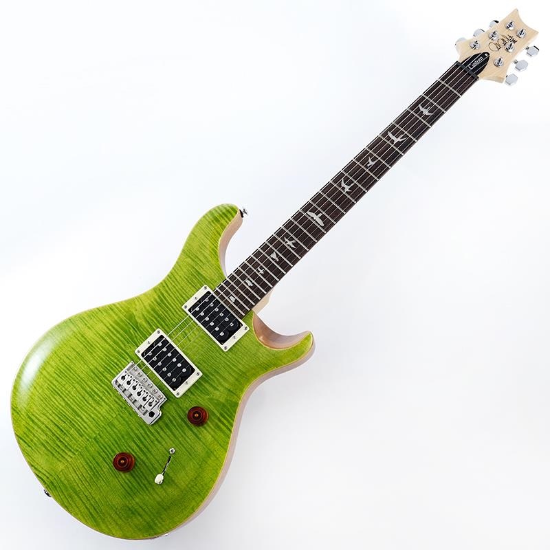 P.R.S. USED 中古 SE Custom 24 (Eriza Verde) SN.CTIG005746 ｜イケベ