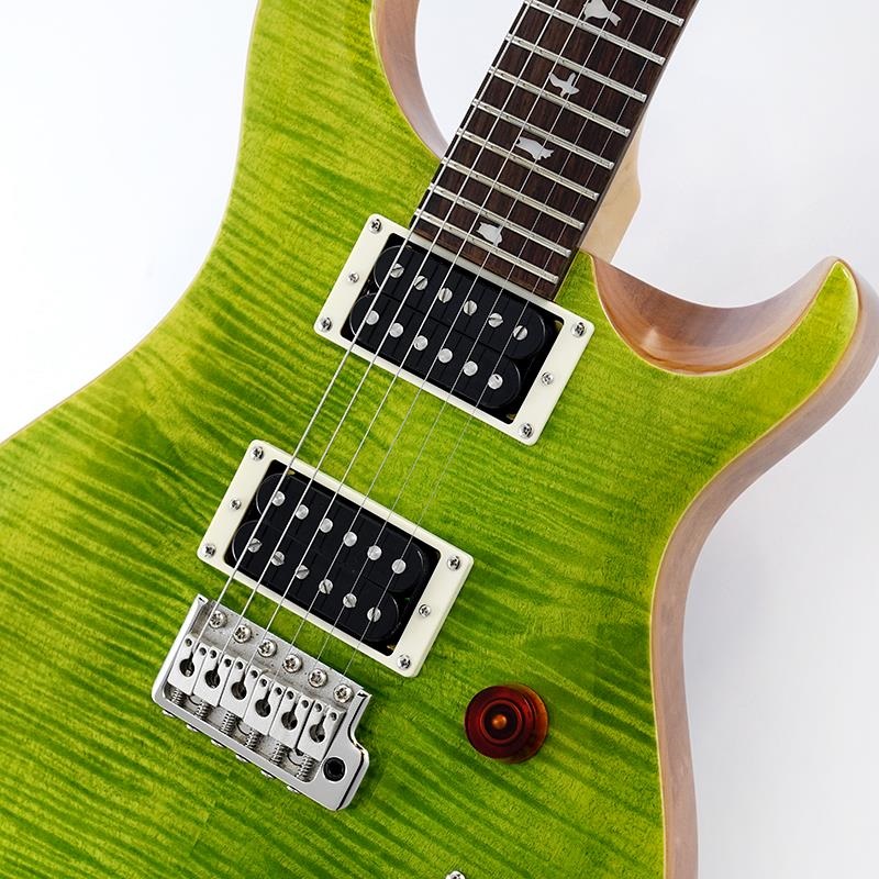P.R.S. USED 中古 SE Custom 24 (Eriza Verde) SN.CTIG005746 ｜イケベ