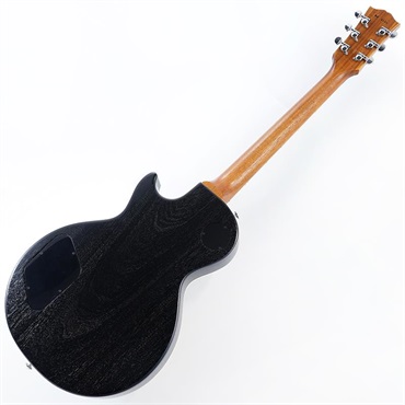 Gibson Demo Mod Collection 1959 Les Paul Standard MOD (Cascading Fern) SN.DS0186 画像2