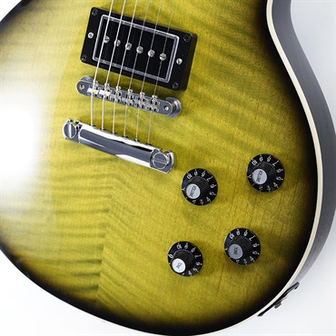 Gibson Demo Mod Collection 1959 Les Paul Standard MOD (Cascading Fern) SN.DS0186 画像4
