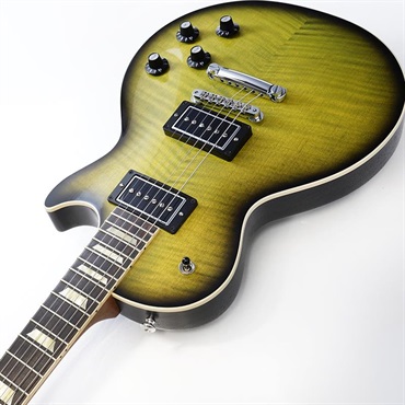 Gibson Demo Mod Collection 1959 Les Paul Standard MOD (Cascading Fern) SN.DS0186 画像5