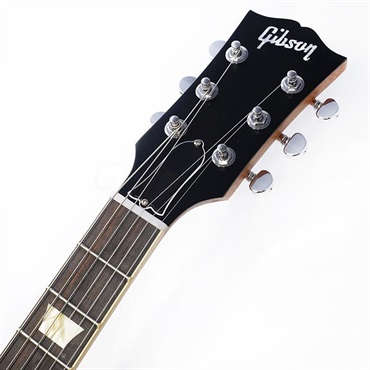 Gibson Demo Mod Collection 1959 Les Paul Standard MOD (Cascading Fern) SN.DS0186 画像8