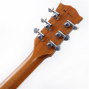 Gibson Demo Mod Collection 1959 Les Paul Standard MOD (Cascading Fern) SN.DS0186 画像9