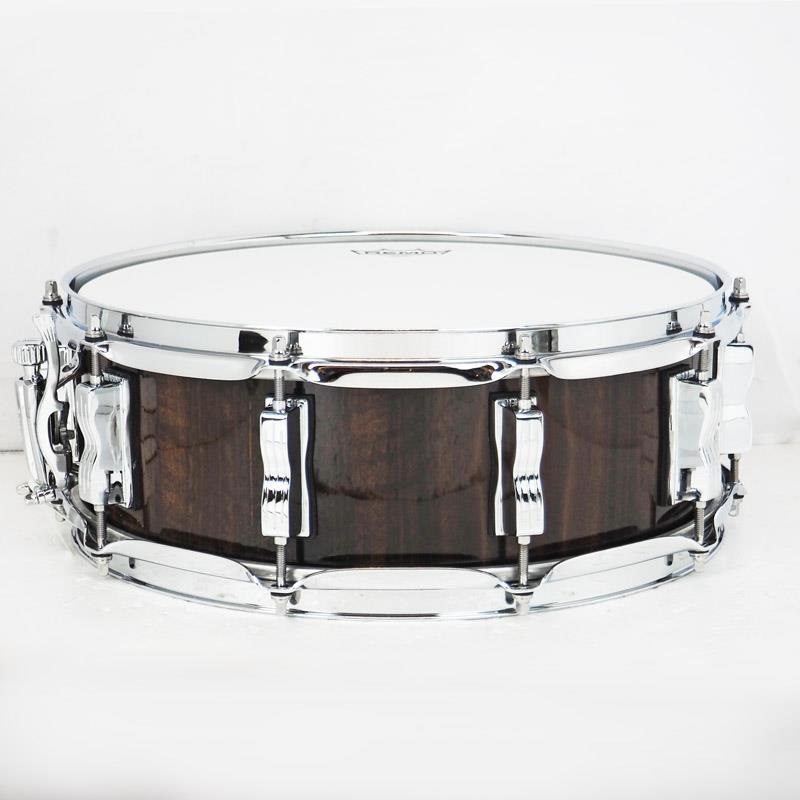 Ludwig USED 中古 LS401 [Classic Maple Exotic 14×5/Fumed Eucalyptus 