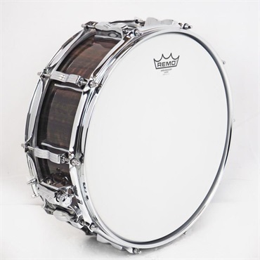 Ludwig USED 中古 LS401 [Classic Maple Exotic 14×5/Fumed Eucalyptus