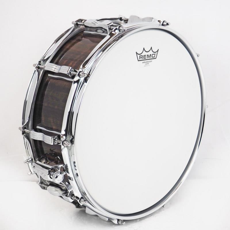 Ludwig USED 中古 LS401 [Classic Maple Exotic 14×5/Fumed Eucalyptus