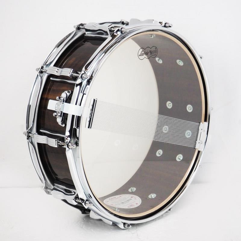 Ludwig USED 中古 LS401 [Classic Maple Exotic 14×5/Fumed Eucalyptus