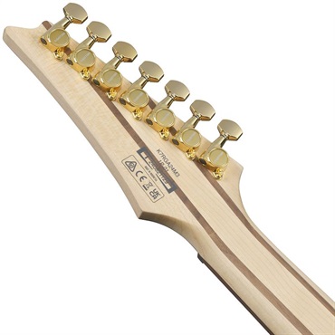 Ibanez 【12月18日入荷予定】 K7YANG [KORN Head Model] 画像5