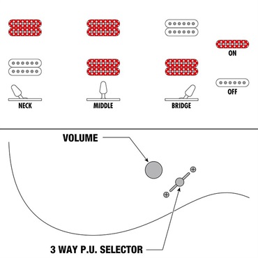 Ibanez 【12月18日入荷予定】 K7YANG [KORN Head Model] 画像6