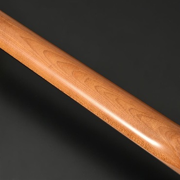 Bacchus Universe Series BTE-2-RSM/R-BPPG (Gun-M) 画像6