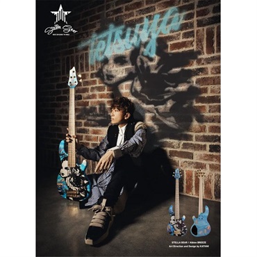 STELLA GEAR 【受注生産品、ご予約受付中】 Albion BREEZE (Art