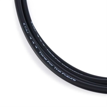 CAJ 旧CAJ Cable (I-I/5m) 【旧ロゴスペシャルプライス！】 画像2